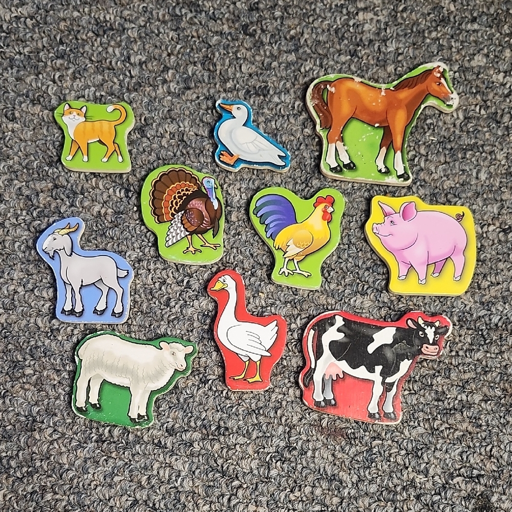 Colorful Animal Magnets Set